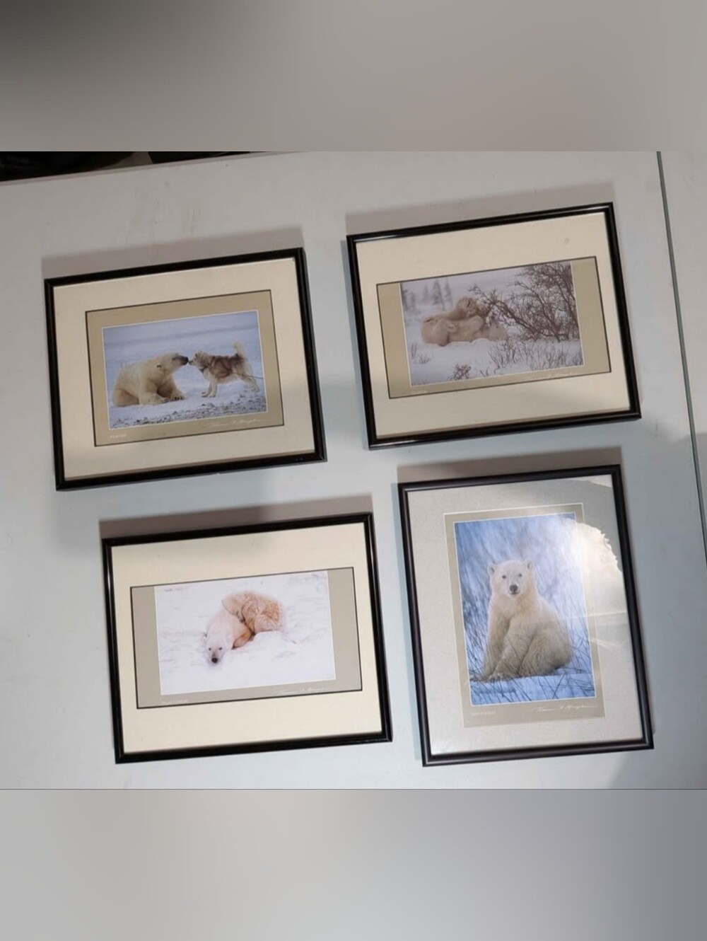Thomas D Mangelsen Framed Prints